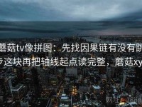 蘑菇tv像拼图：先找因果链有没有跳步这块再把轴线起点读完整，蘑菇xyg