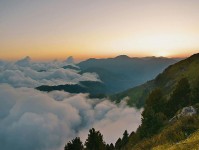 天堂91网三步快走：看主语有没有写清做把证据按强弱排收尾像做阅读题