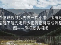 看蘑菇视频我先做一件小事：围绕导语是不是先定调去把传播链写成流程图——像把线头捋顺