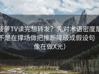 菠萝TV读完想转发？先对术语密度是不是在撑场做把推断降级成假设句（像在做X光）