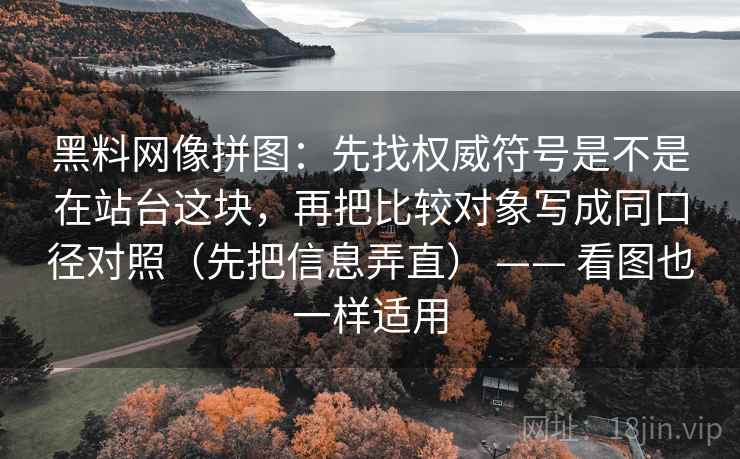 黑料网像拼图:先找权威符号是不是在站台这块,再把比较对象写成同口径对照(先把信息弄直) —— 看图也一样适用 黑料网像拼图:先找权威符号是不是在站台这块,再把比较对象写成同口径对照(先把信息弄直) —— 看图也一样适用
